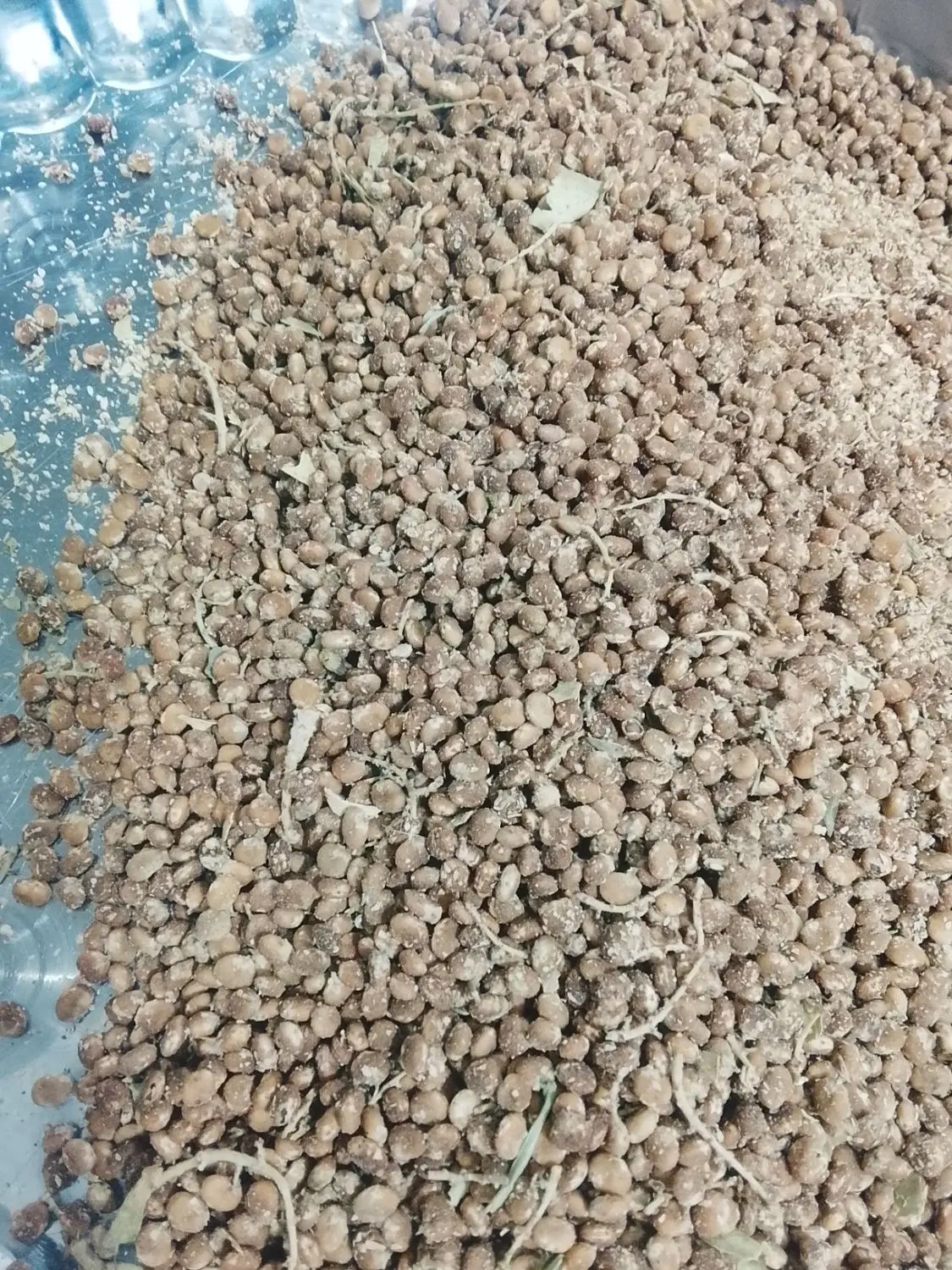 سماغ|خوردنی و آشامیدنی|تهران, هرندی|دیوار