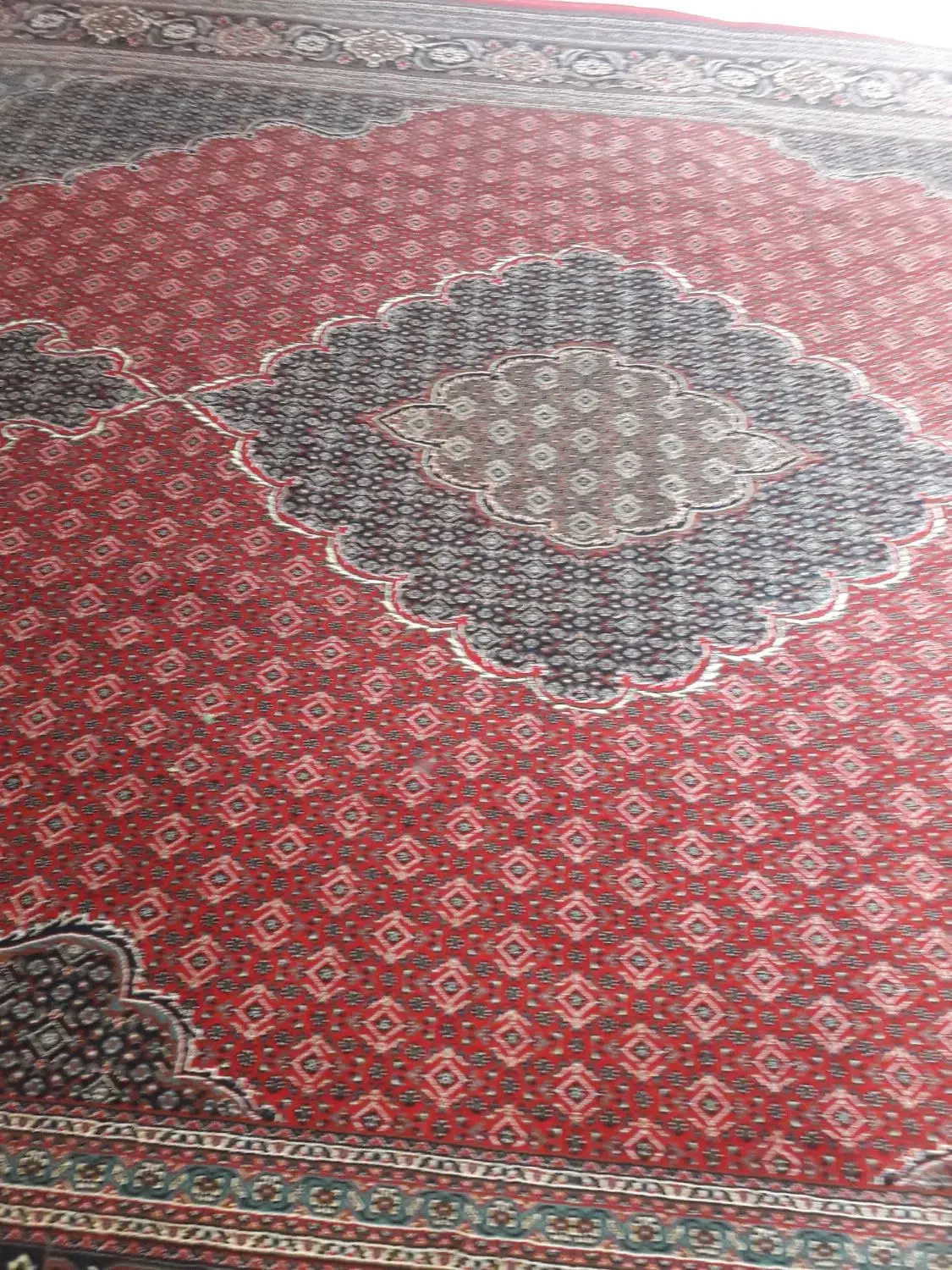 یک عدد فرش ماشینی 12متری|فرش|مراغه, |دیوار