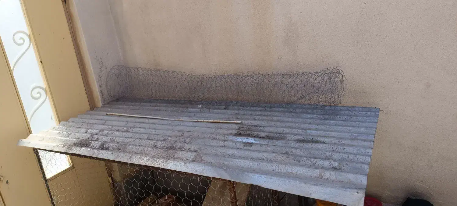 قفس|لوازم جانبی حیوانات|ماکو, |دیوار