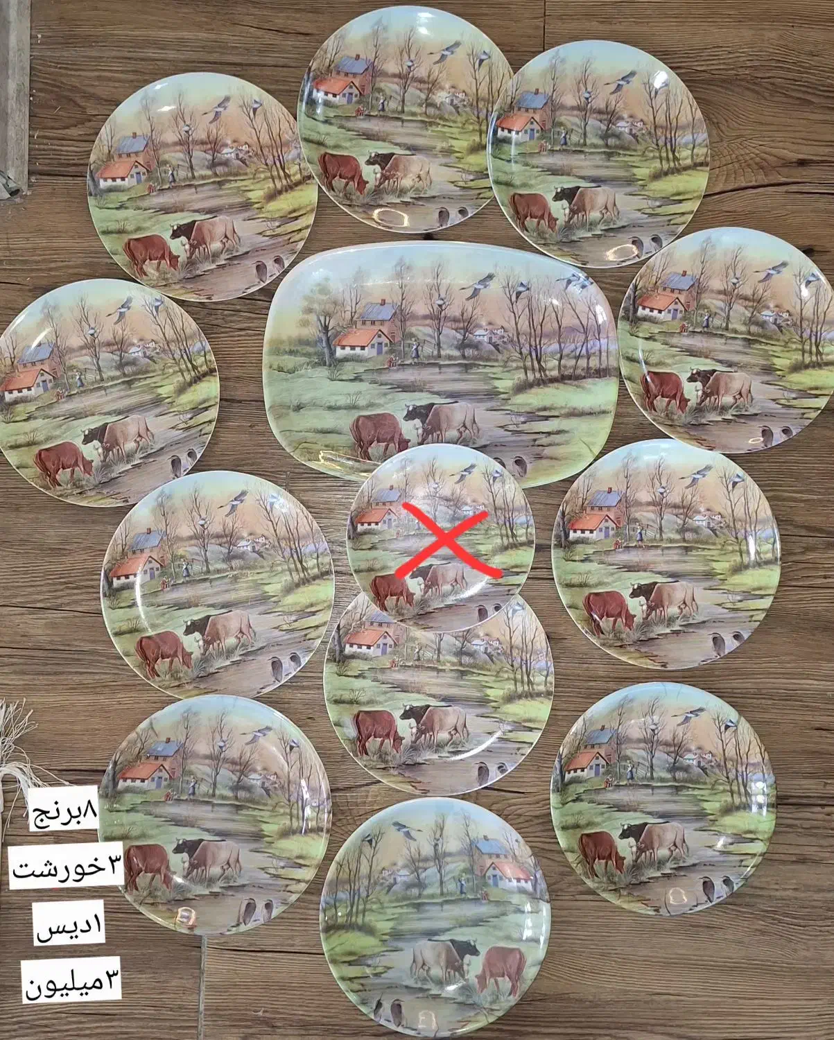 بشقاب دیوارکوب ظرف ظروف باغ سنتی ملامین قدیمی|کلکسیون اشیاء عتیقه|مشهد, ادیب نیشابوری (شهرک غرب)|دیوار