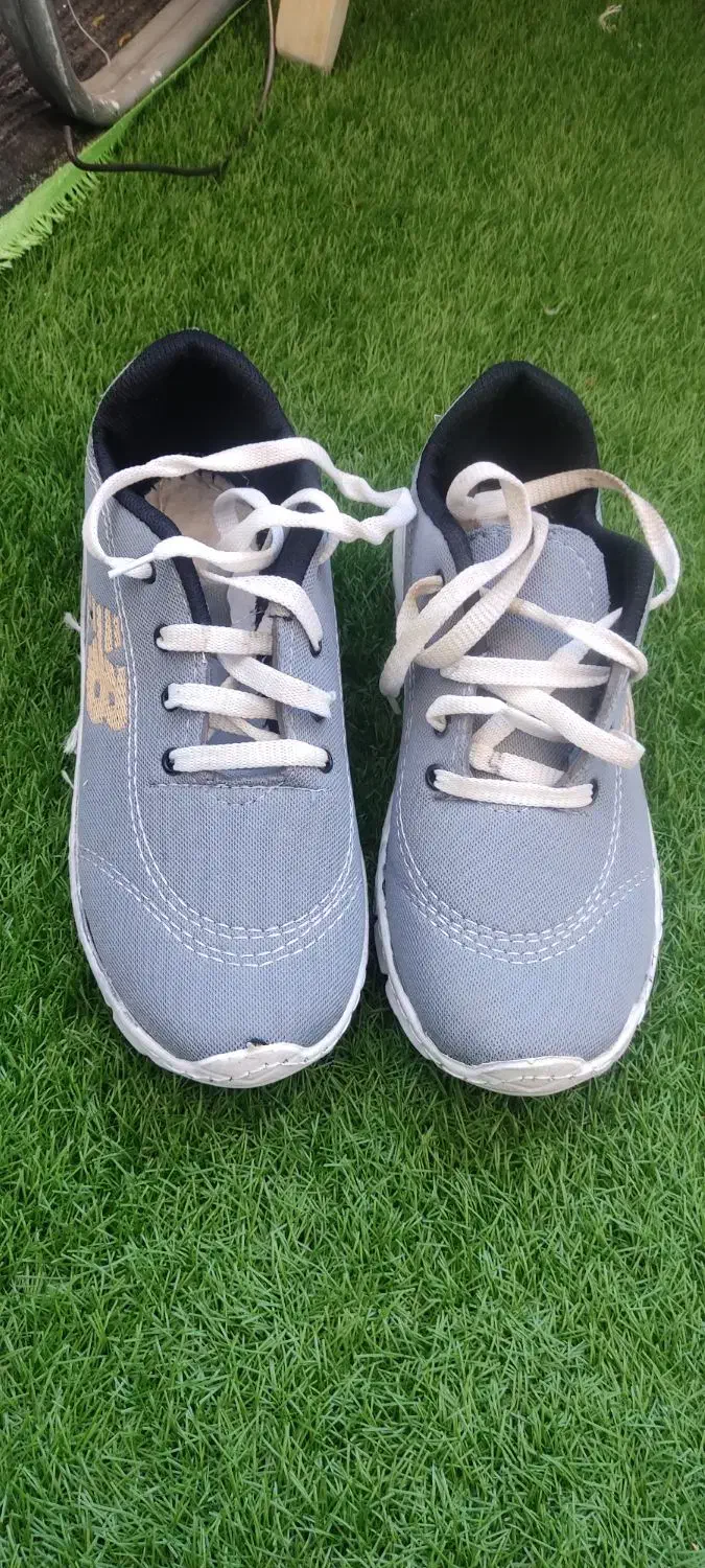 کفش|کیف، کفش، کمربند|بروجن, |دیوار