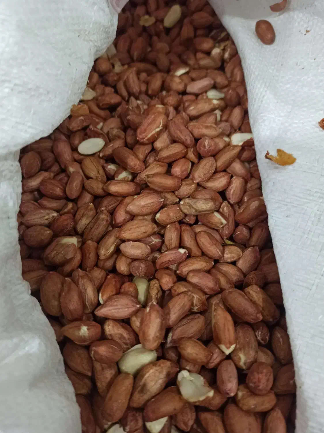 بادام زمینی تناژ تمیز مناسب صادرات کره گیری و فروش|خوردنی و آشامیدنی|تهران, آبشار|دیوار
