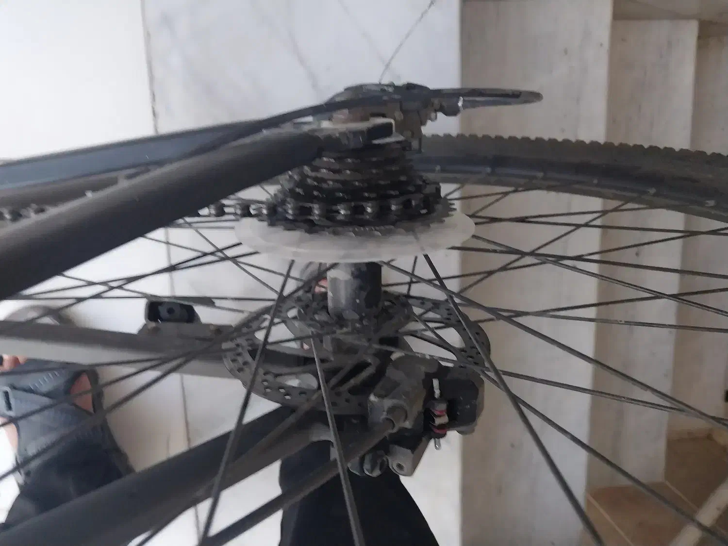 دوچرخه 29|دوچرخه، اسکیت، اسکوتر|مشهد, کوشش|دیوار