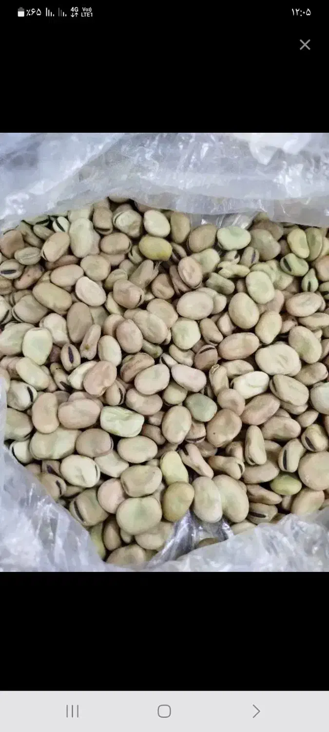 پخله  سه  تن|خوردنی و آشامیدنی|سراب, |دیوار