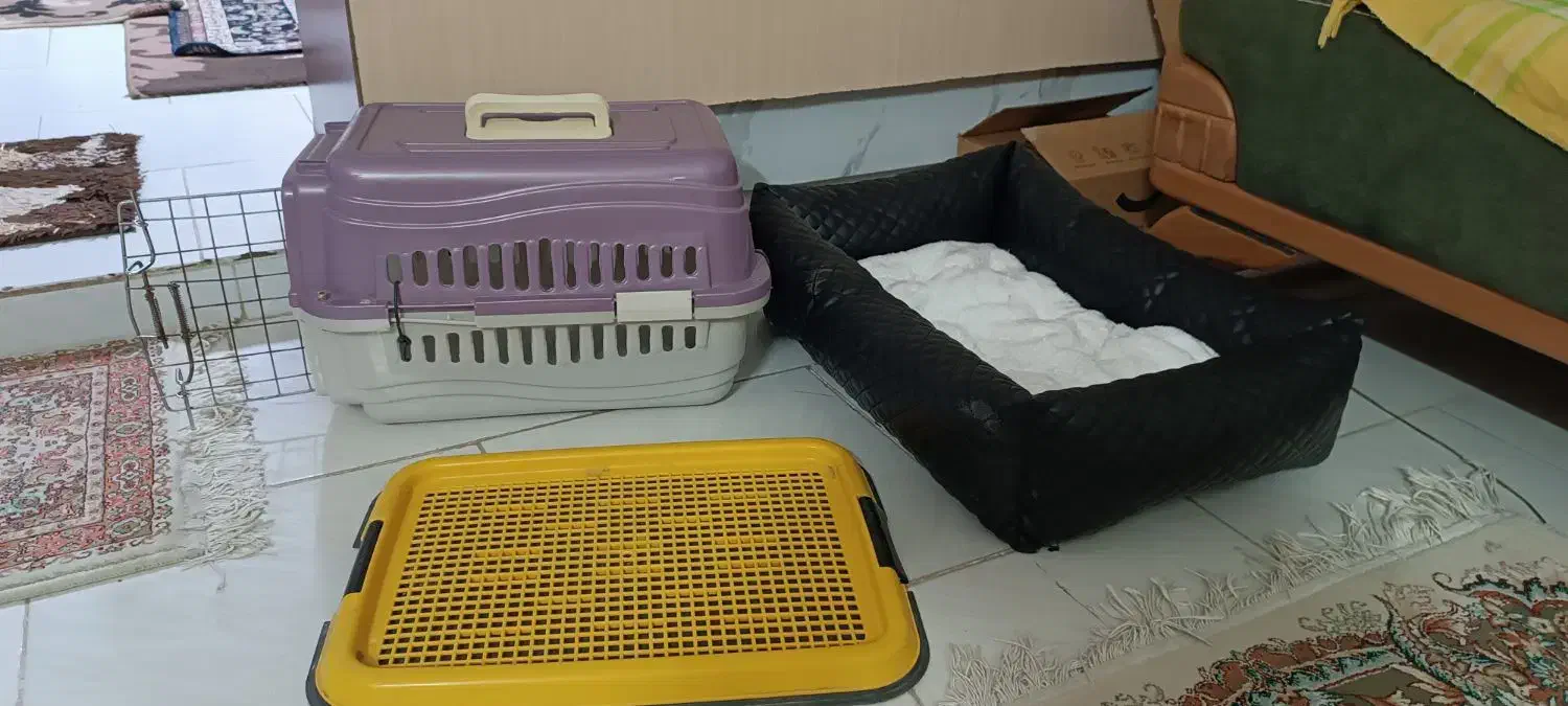 وسایل پت|لوازم جانبی حیوانات|رباط‌کریم, رباط‌کریم|دیوار