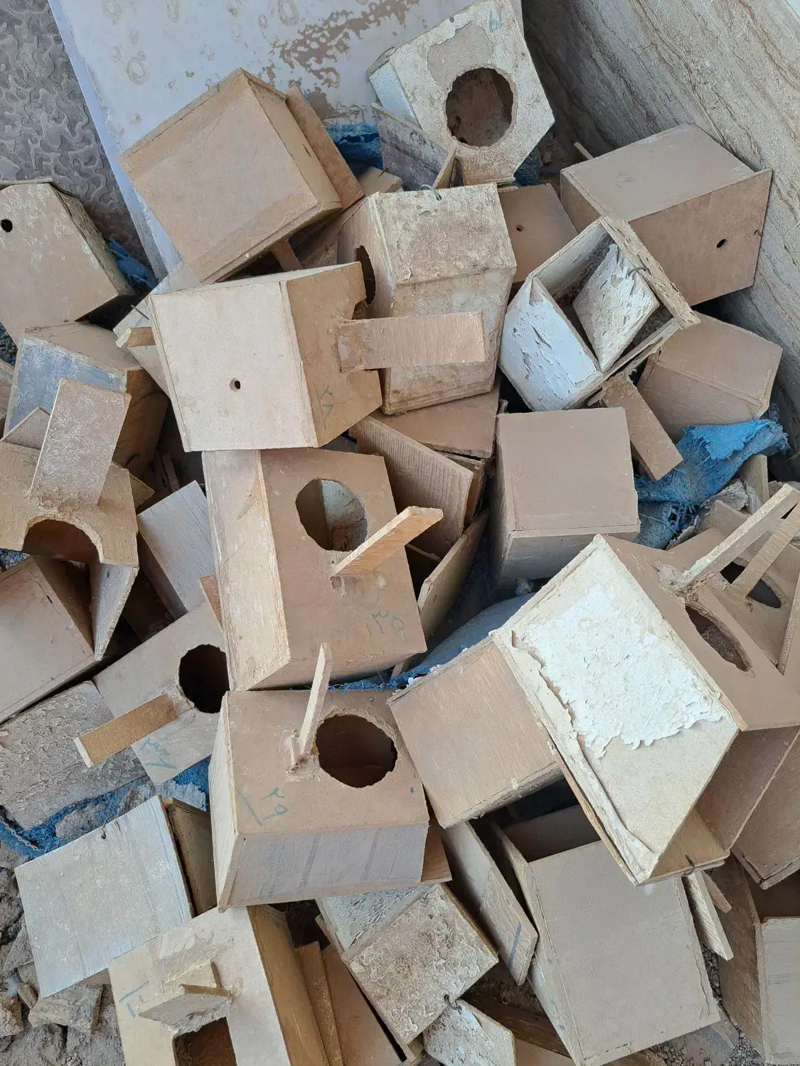 فروش لانه فنج|لوازم جانبی حیوانات|میبد, |دیوار