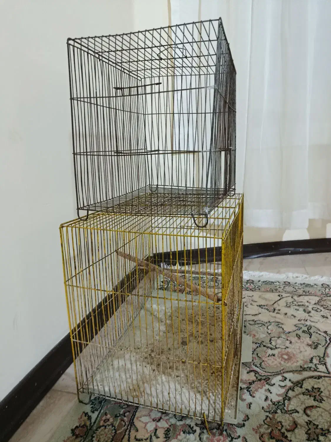 قفس مرغ عشق،طوطی،قناری|لوازم جانبی حیوانات|آمل, |دیوار