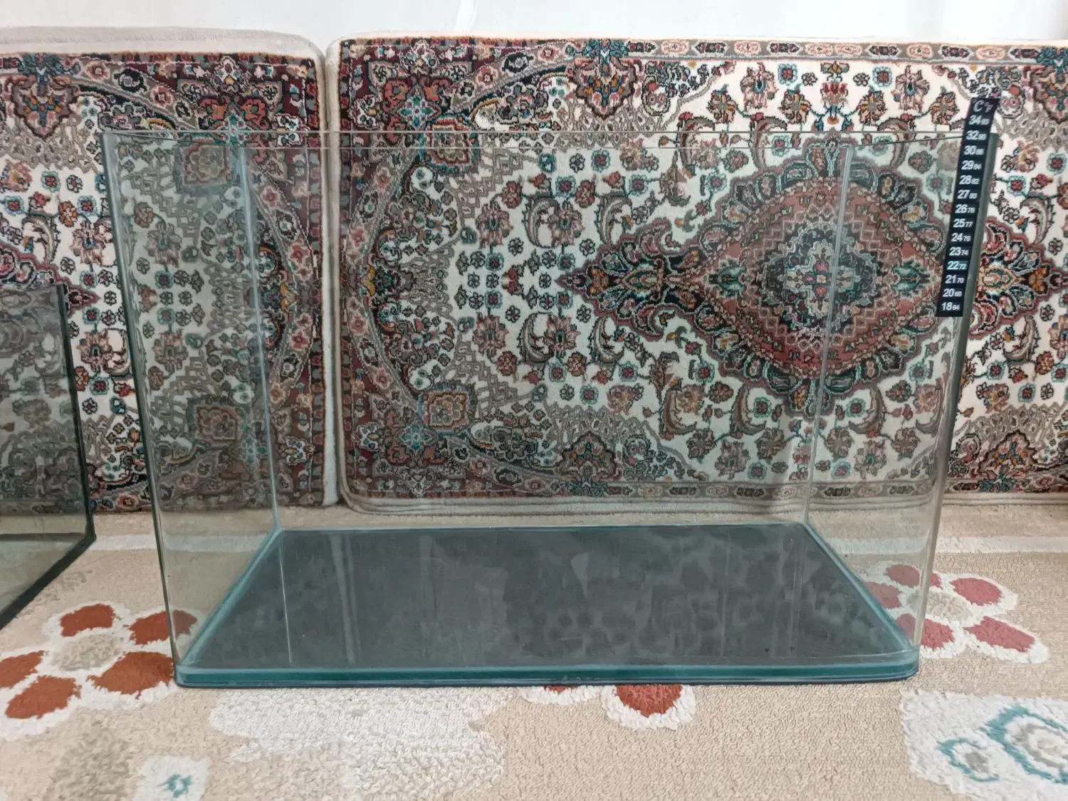 ۲ عدد اکواریوم و تمامی لوازم|ماهی|قدس, شهرقدس|دیوار