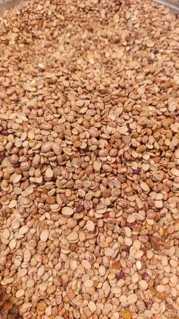 باسلام.کپسول ال پی جی|قطعات یدکی و لوازم جانبی|اهواز, حصیرآباد|دیوار