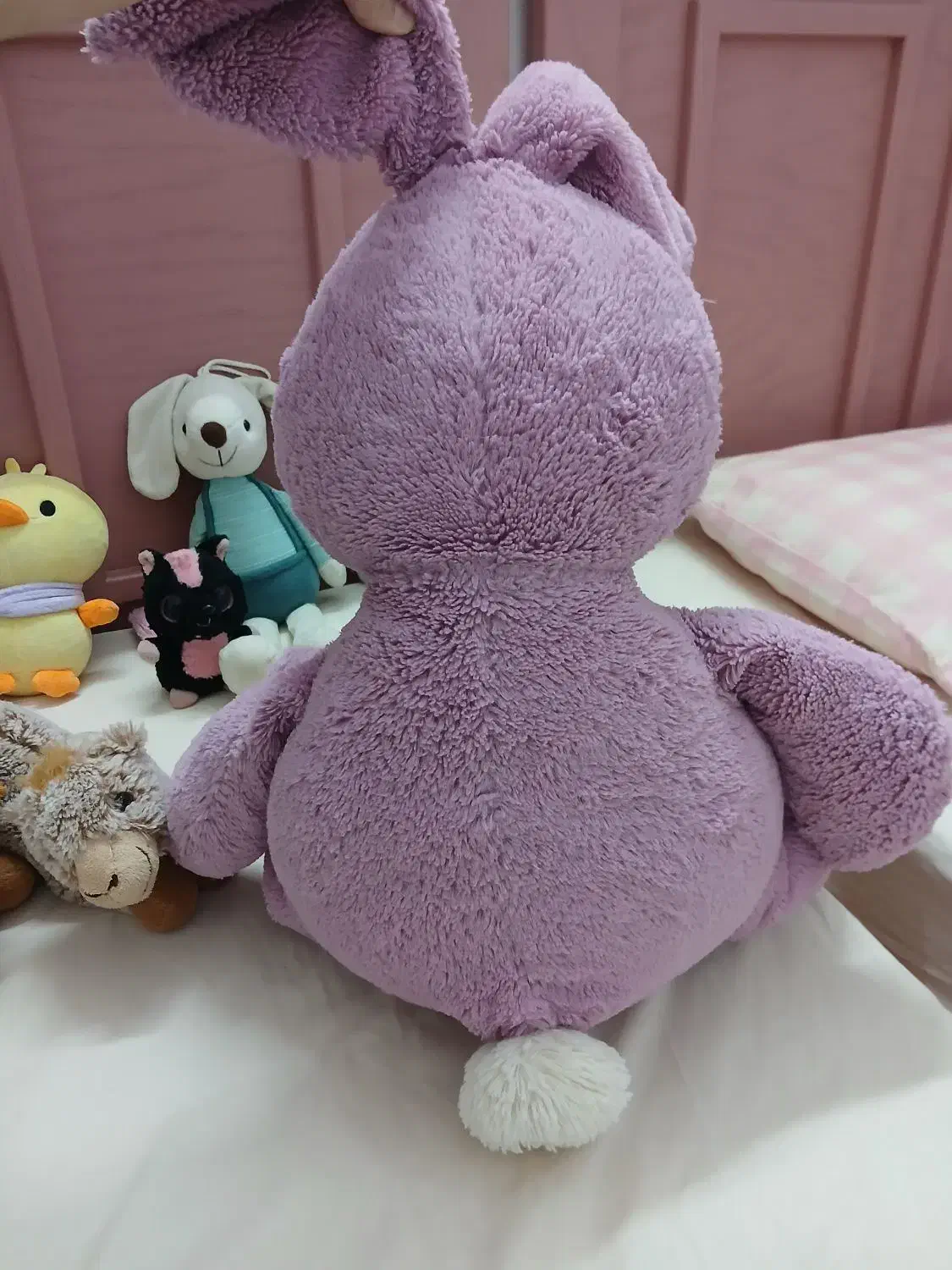 عروسک|اسباببازی|قم, بنیاد|دیوار