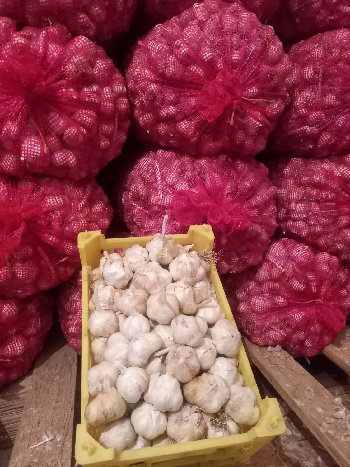 سیر|خوردنی و آشامیدنی|کرمانشاه, |دیوار