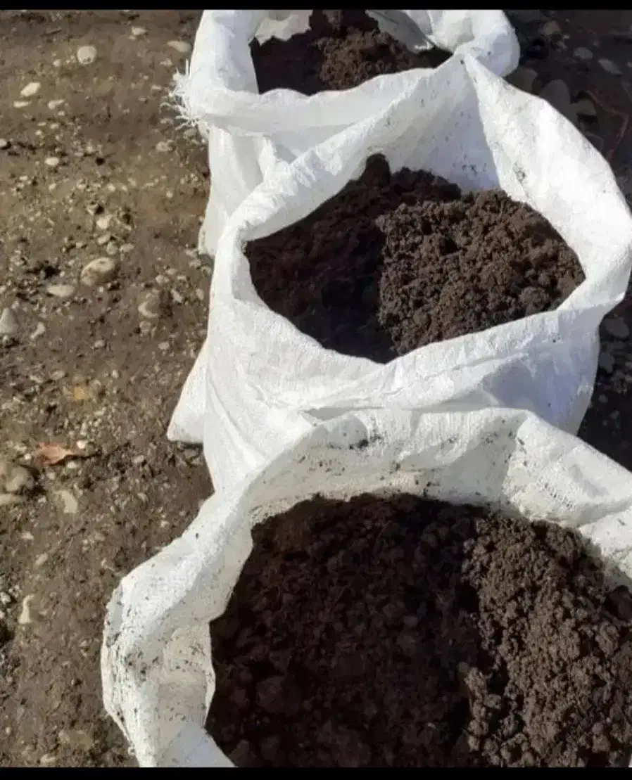 فروش کود حیوانی|خدمات باغبانی و درختکاری|تنکابن, |دیوار