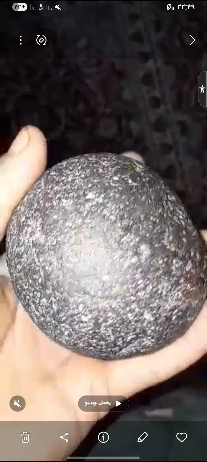 شهاب سنگ|کلکسیون اشیاء عتیقه|چورزق, |دیوار