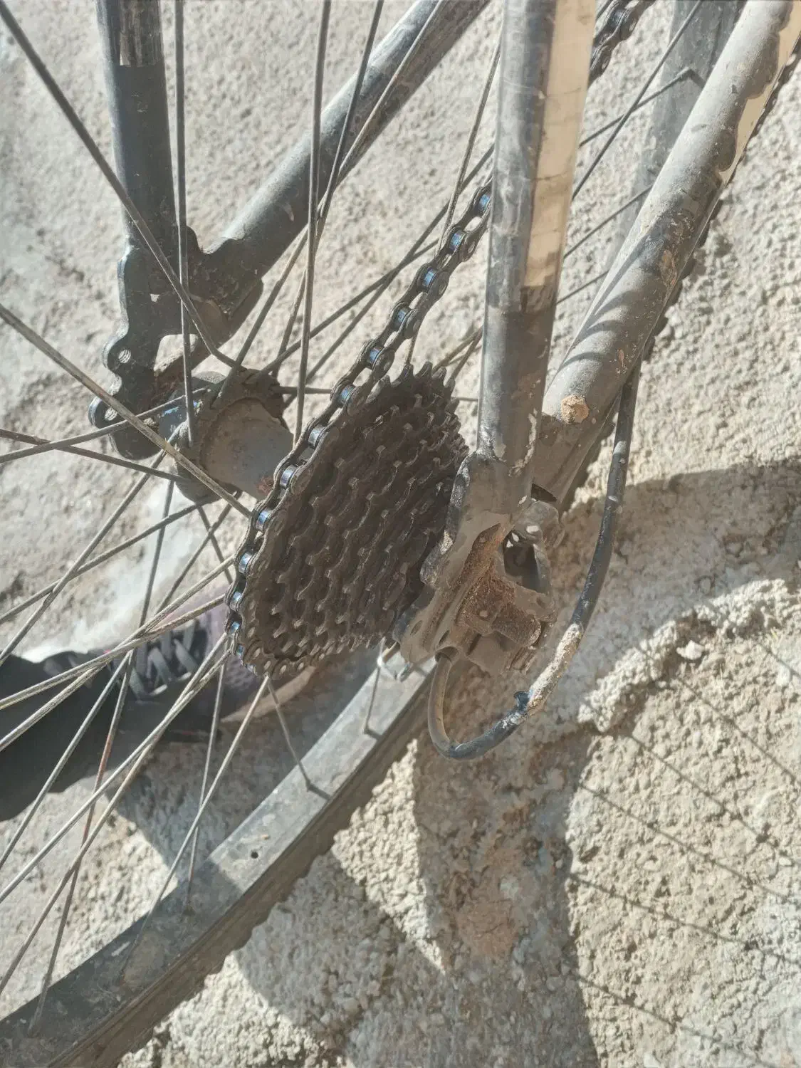 دوچرخه ۲۶ سالم|دوچرخه، اسکیت، اسکوتر|سیلوانه, |دیوار