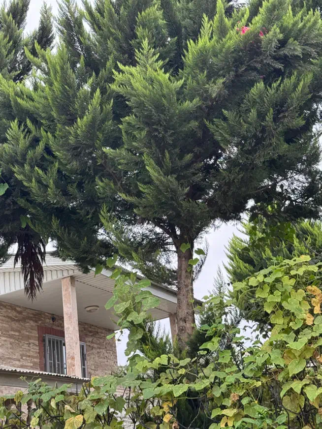 مشارکت  ساخت  بهترین لوکیشن هروی|مشارکت در ساخت املاک|تهران, هروی|دیوار