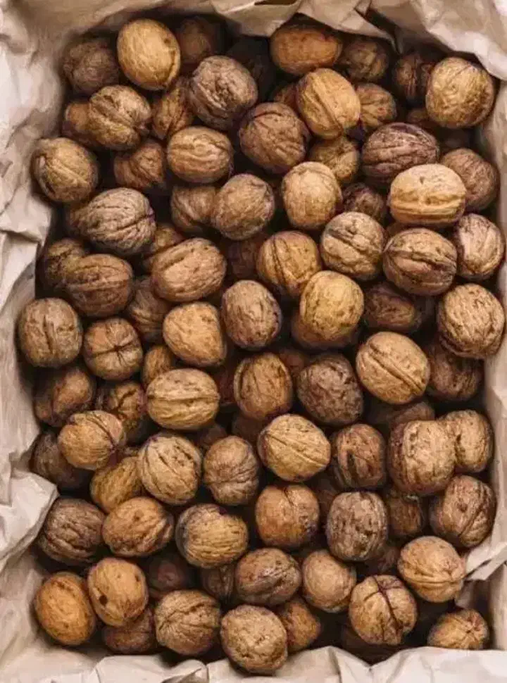 گردو درجه یک سوغات خلخال (همه چی در توضیحات))|خوردنی و آشامیدنی|خلخال, |دیوار