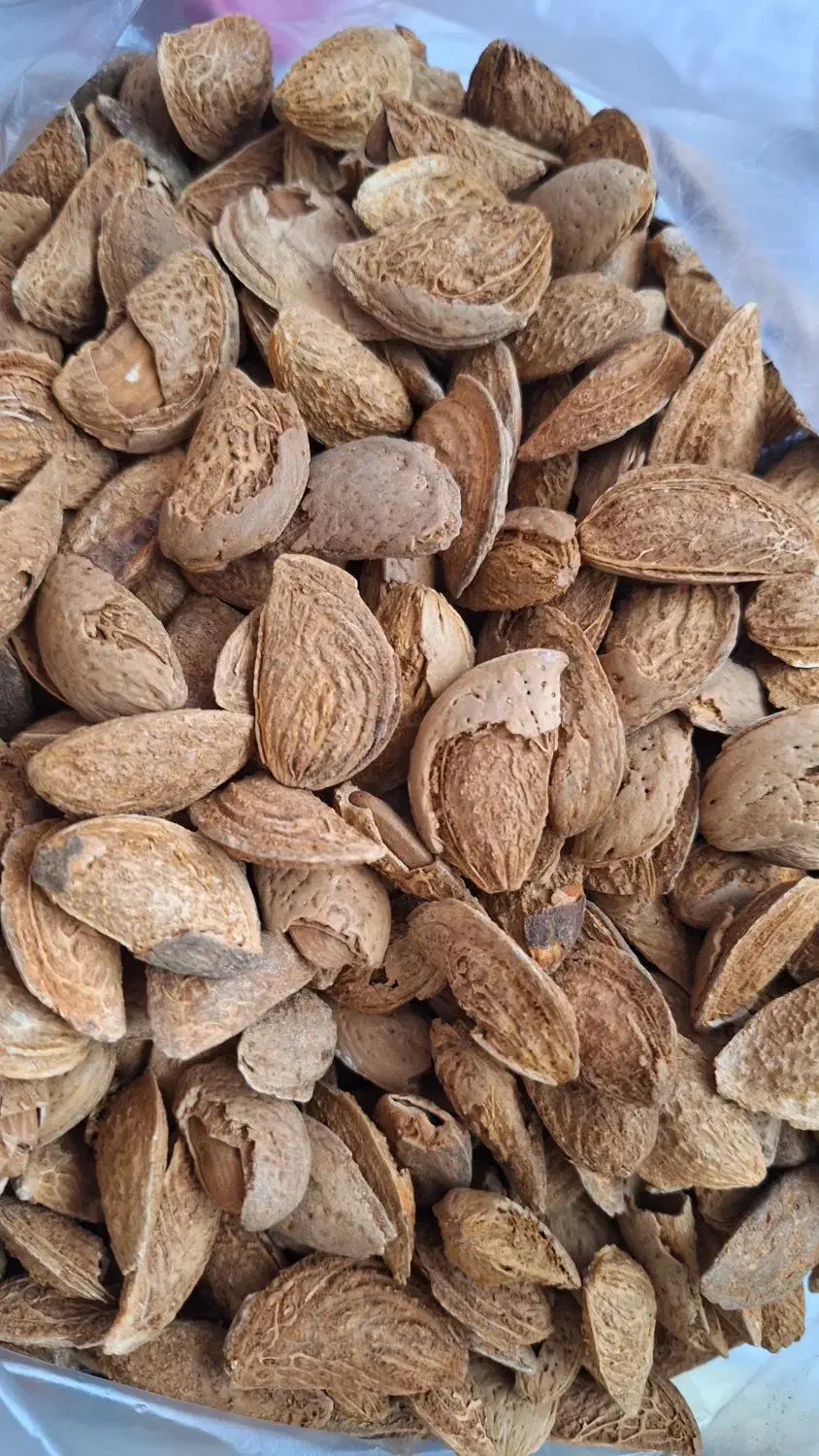 بادام وکشمش|خوردنی و آشامیدنی|مشکیندشت, |دیوار