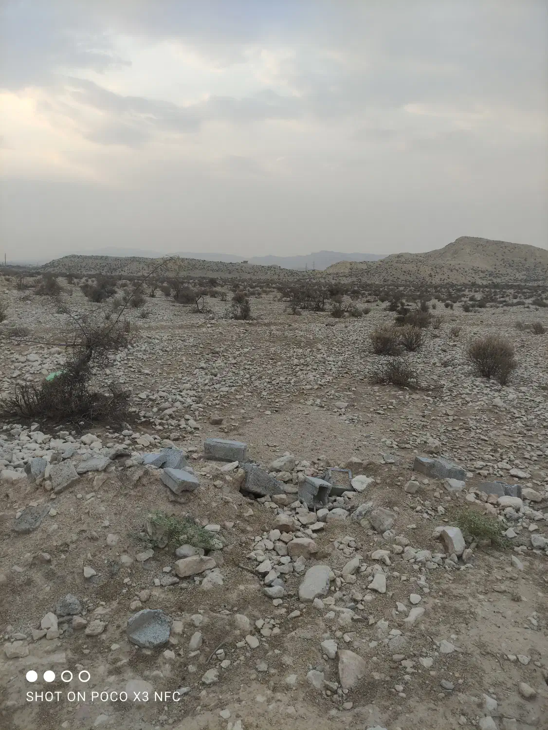 فروش زمین کشاورزی|فروش زمین و ملک کلنگی|جم, |دیوار