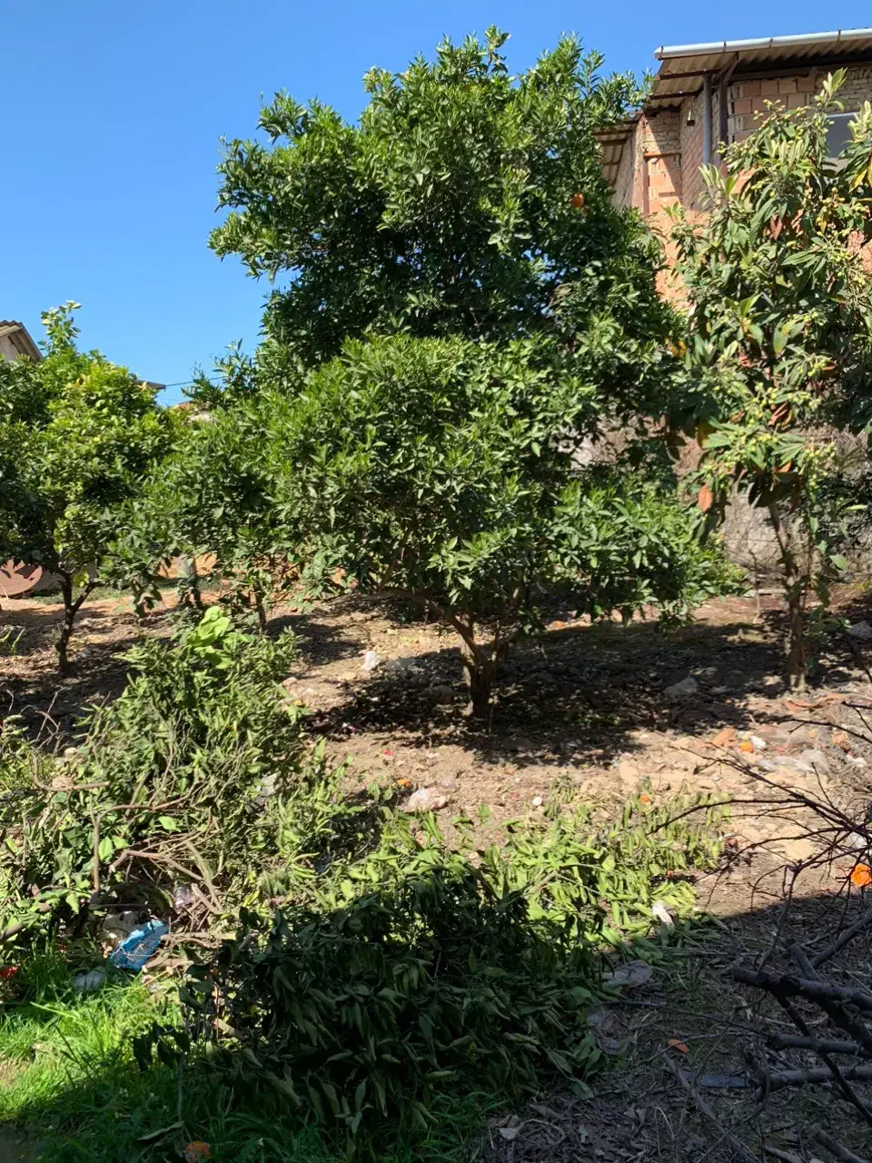 فروش خانه سرا|فروش زمین و ملک کلنگی|طبقده, |دیوار