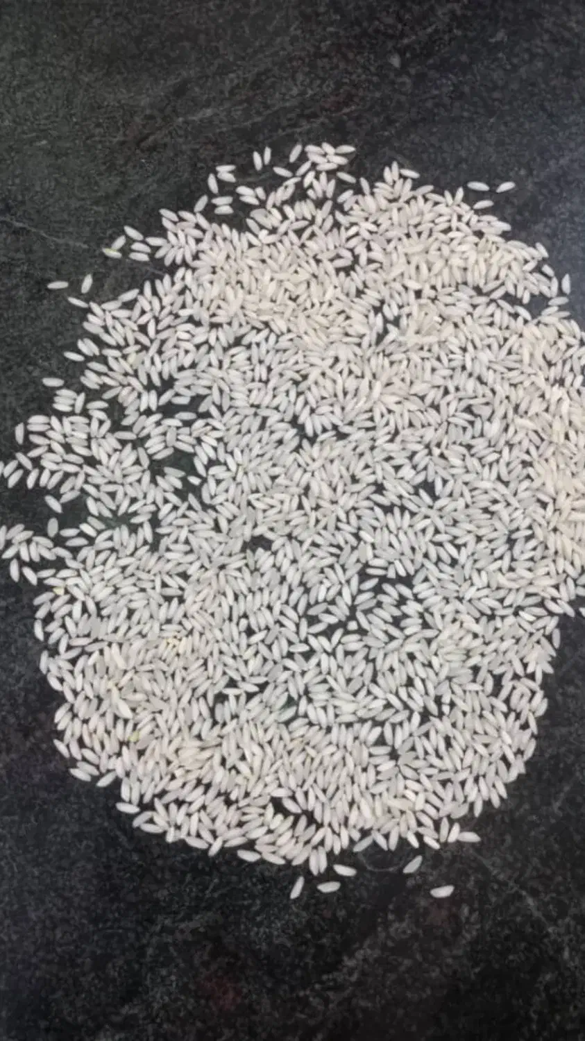 بربج دریک شرطی انبربو|خوردنی و آشامیدنی|اهواز, بهزاد شهر|دیوار