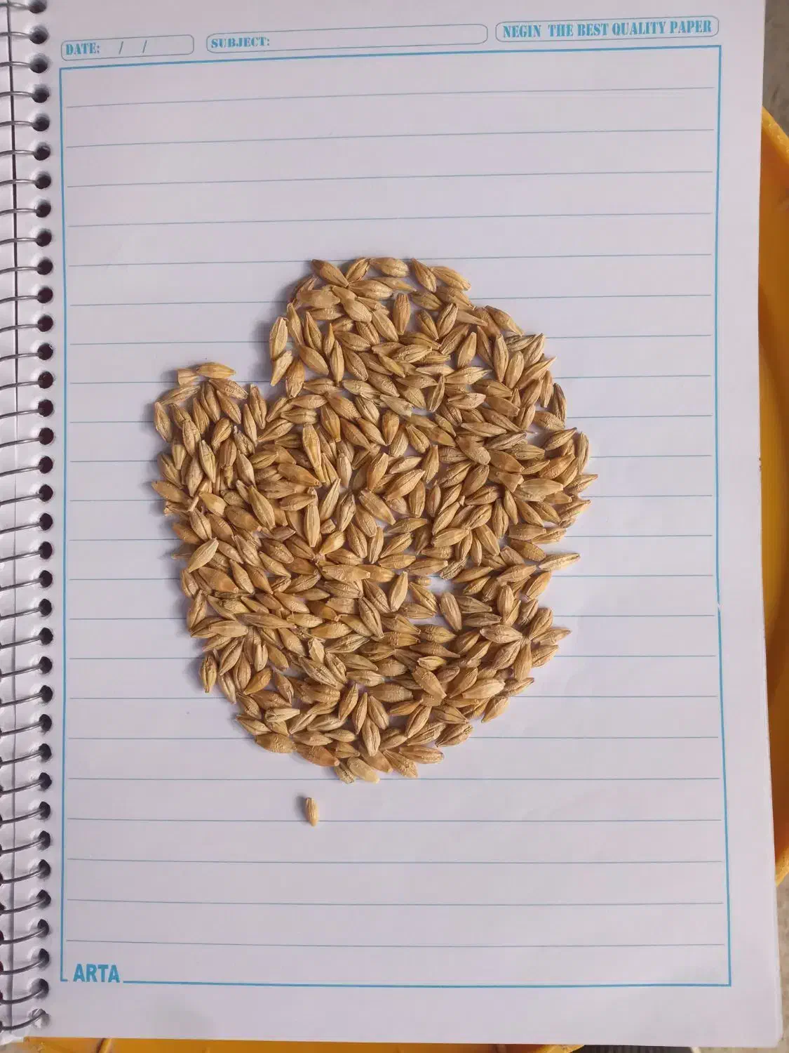 جو خارجی|حیوانات مزرعه|فیروزآباد (فارس), |دیوار