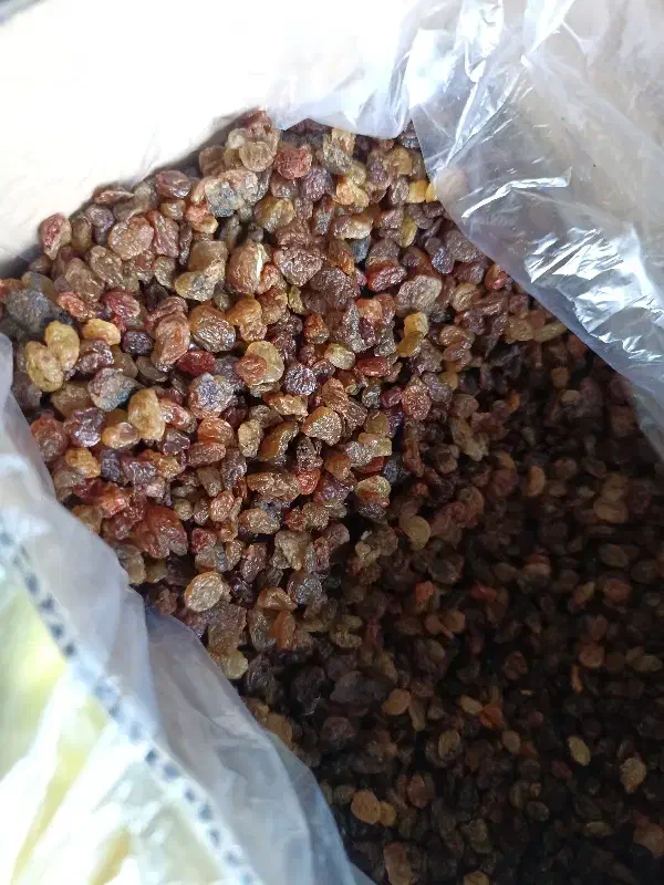 کشمش قنادی|خوردنی و آشامیدنی|ملایر, |دیوار