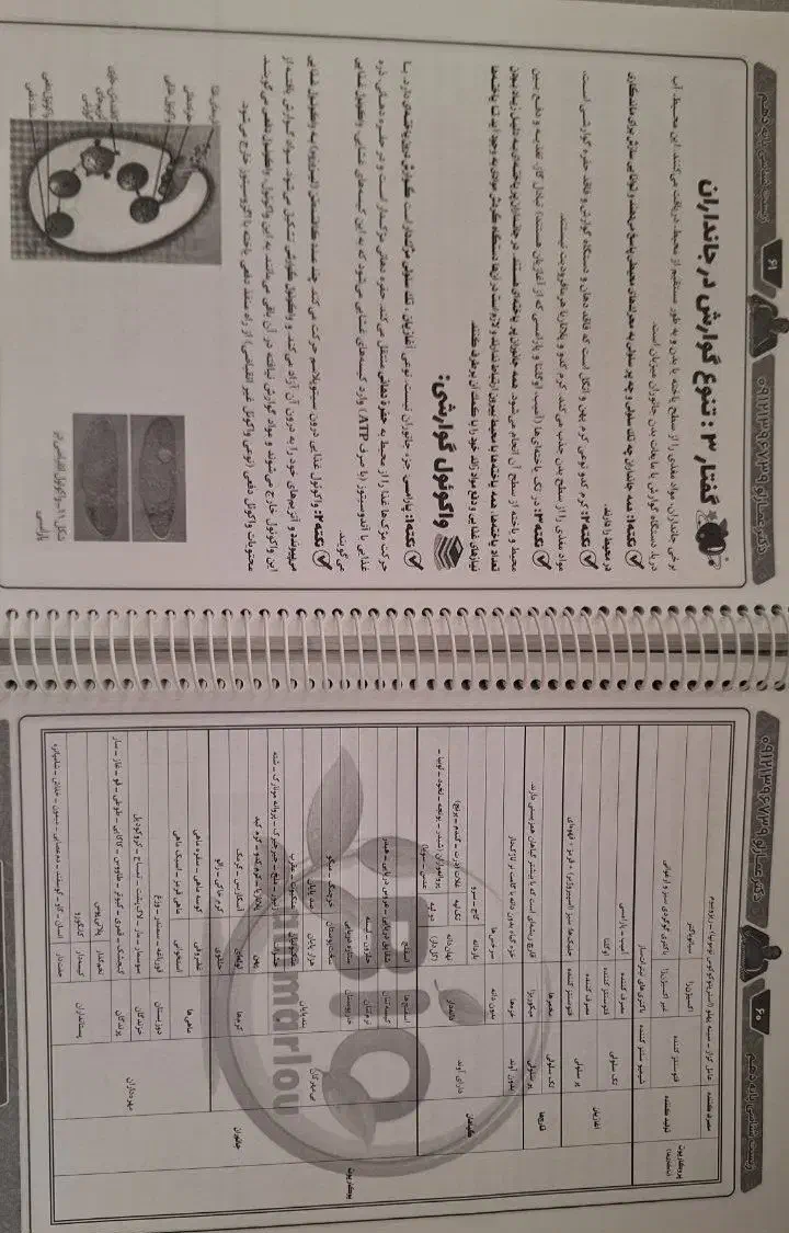 جزوات زیست عمارلو کلاسینو 1403 قیمت توافقی|لوازم التحریر|اسلام‌‌آباد غرب, |دیوار