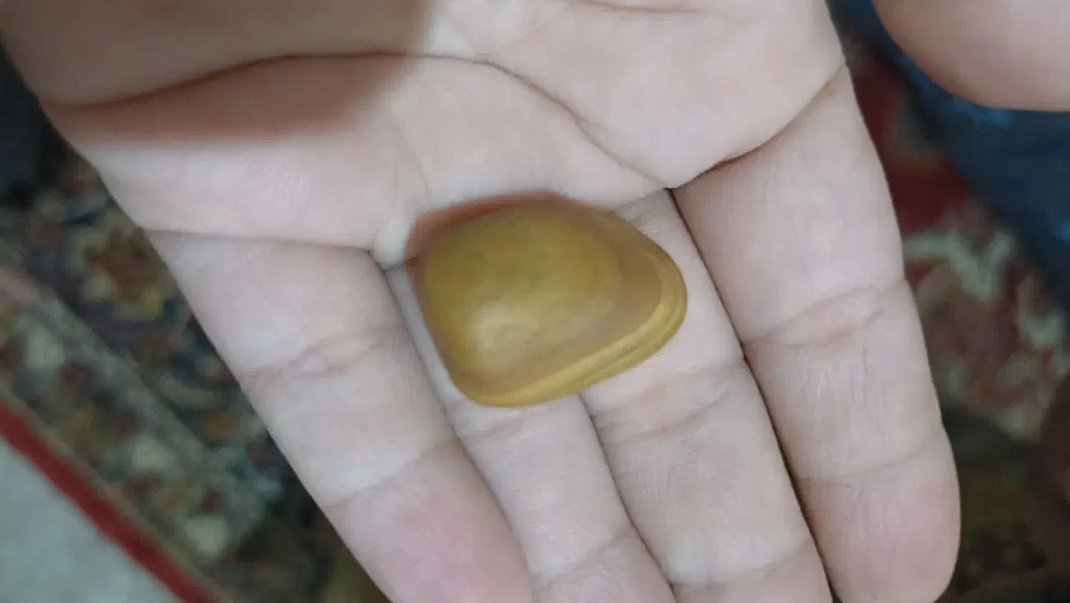 فروشی|کلکسیون اشیاء عتیقه|گنبد کاووس, |دیوار