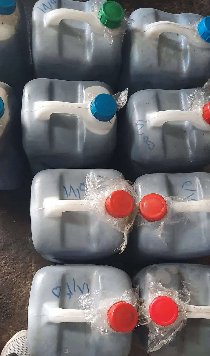 روغن هسته زیتون|خوردنی و آشامیدنی|طارم, |دیوار