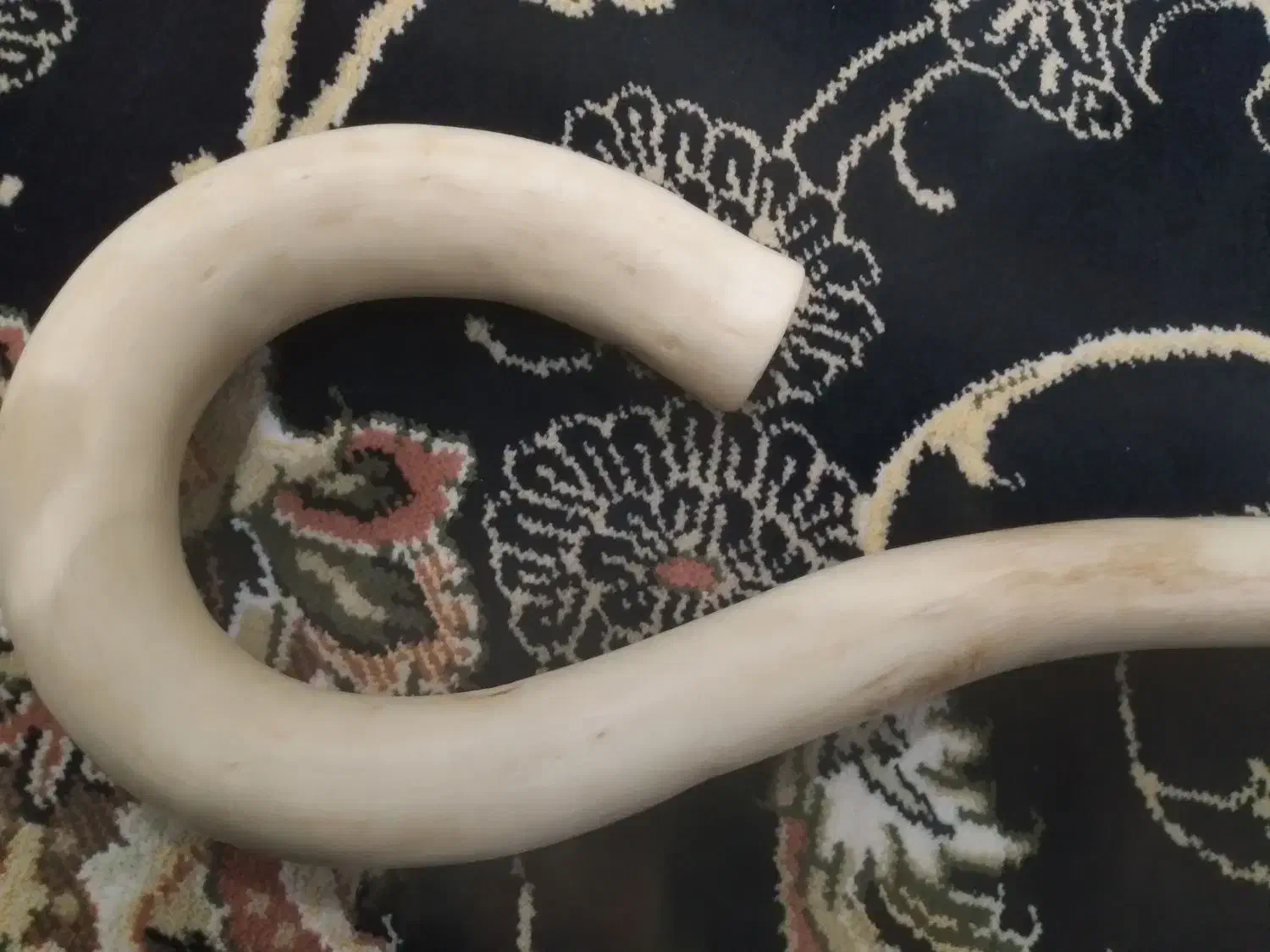 عصا طبیعی از بهترین چوبهای زاکرس دست می کنم|آرایشی، بهداشتی، درمانی|بانه, |دیوار