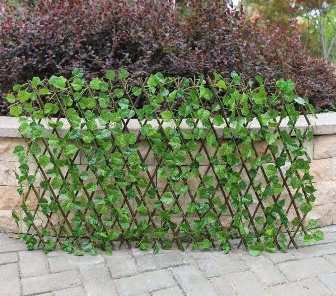 تراس ...|خدمات پیشه و مهارت|دورود, |دیوار