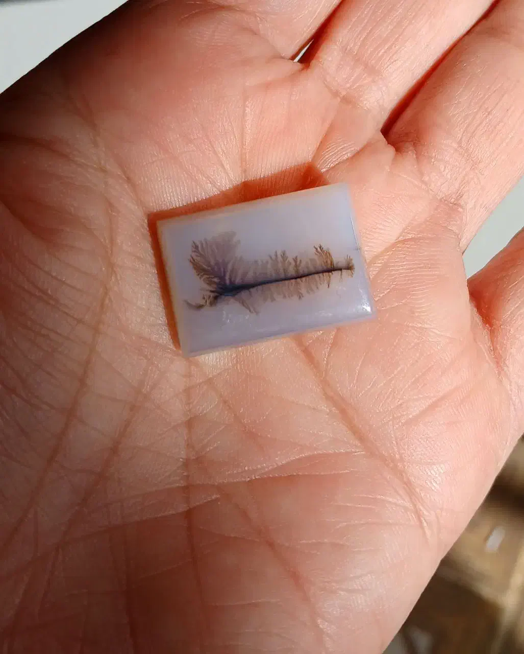 سنگ کلکسیونی نگین شجر|جواهرات|شاهرود, |دیوار