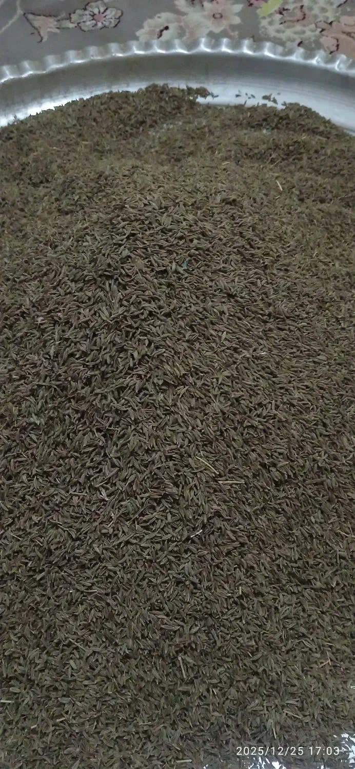 زیره|خوردنی و آشامیدنی|هلالی, |دیوار