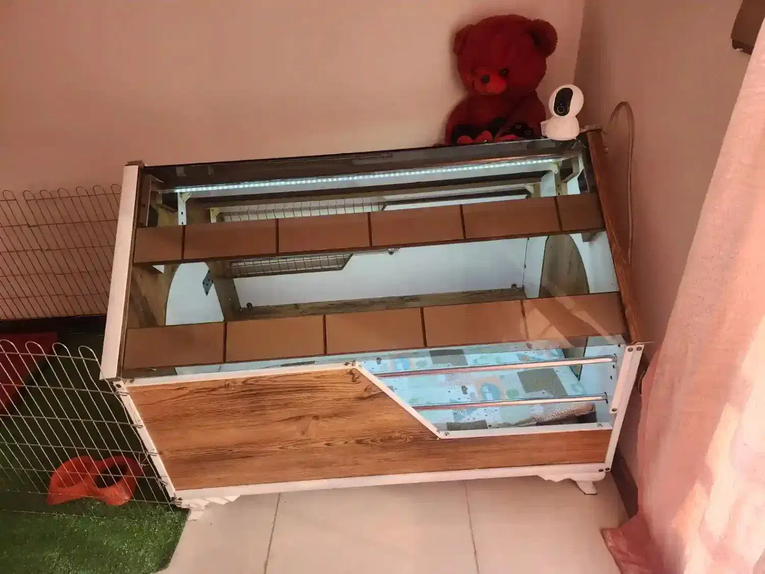 خانه پت|لوازم جانبی حیوانات|گرمدره, |دیوار