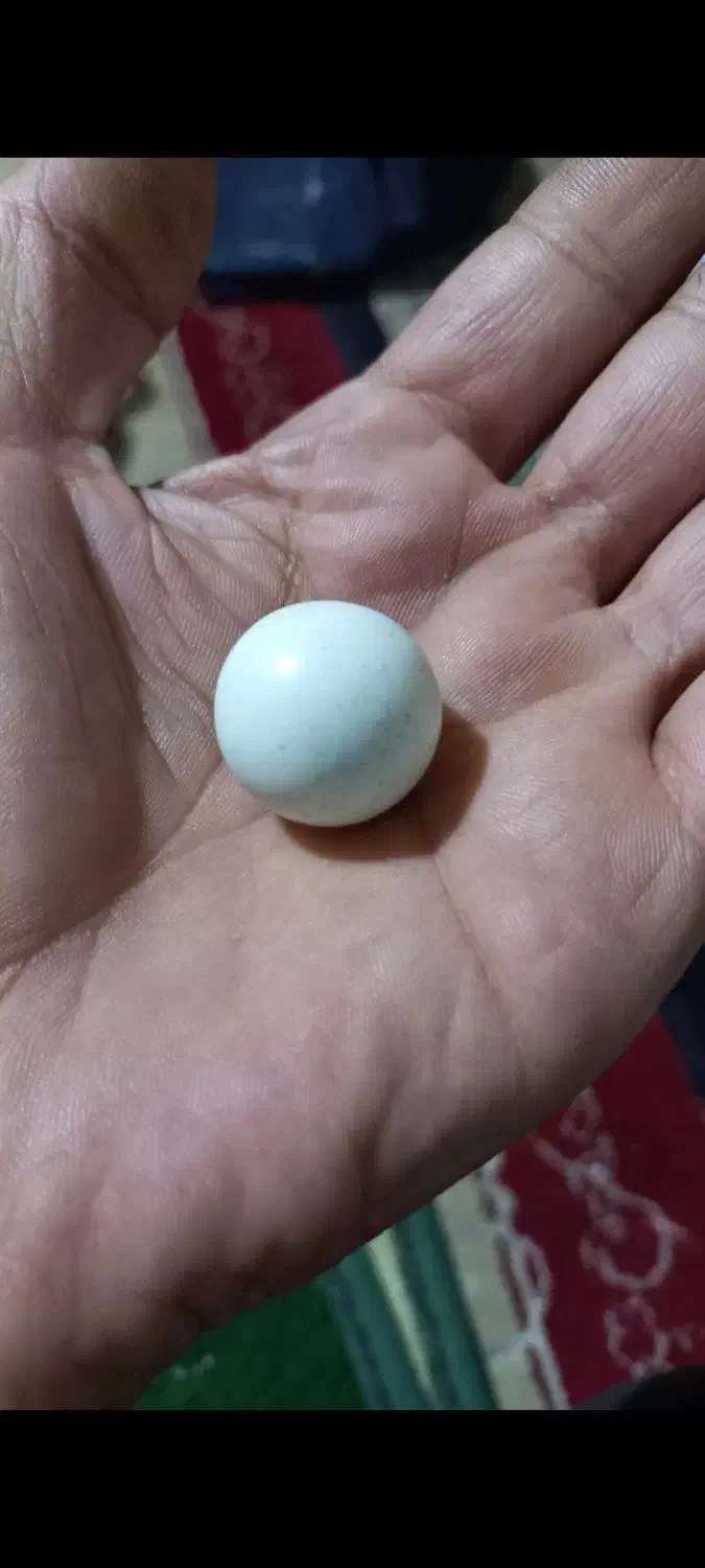 شهاب.سنگ وسنگ الماس.|جواهرات|لنجان, |دیوار