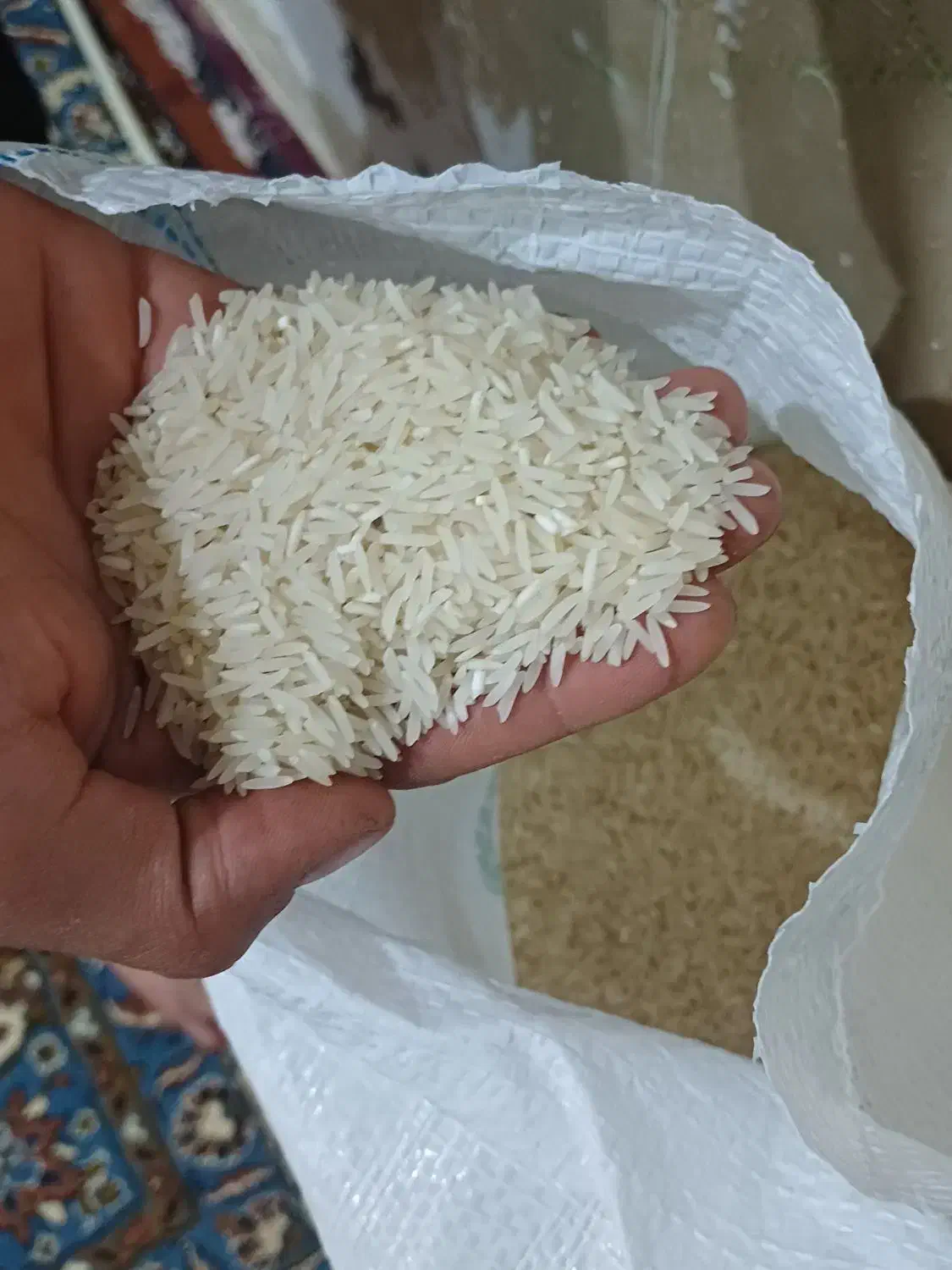 برنج فجرسوزنی خوش پخت خوش طعم|خوردنی و آشامیدنی|گرگان, |دیوار