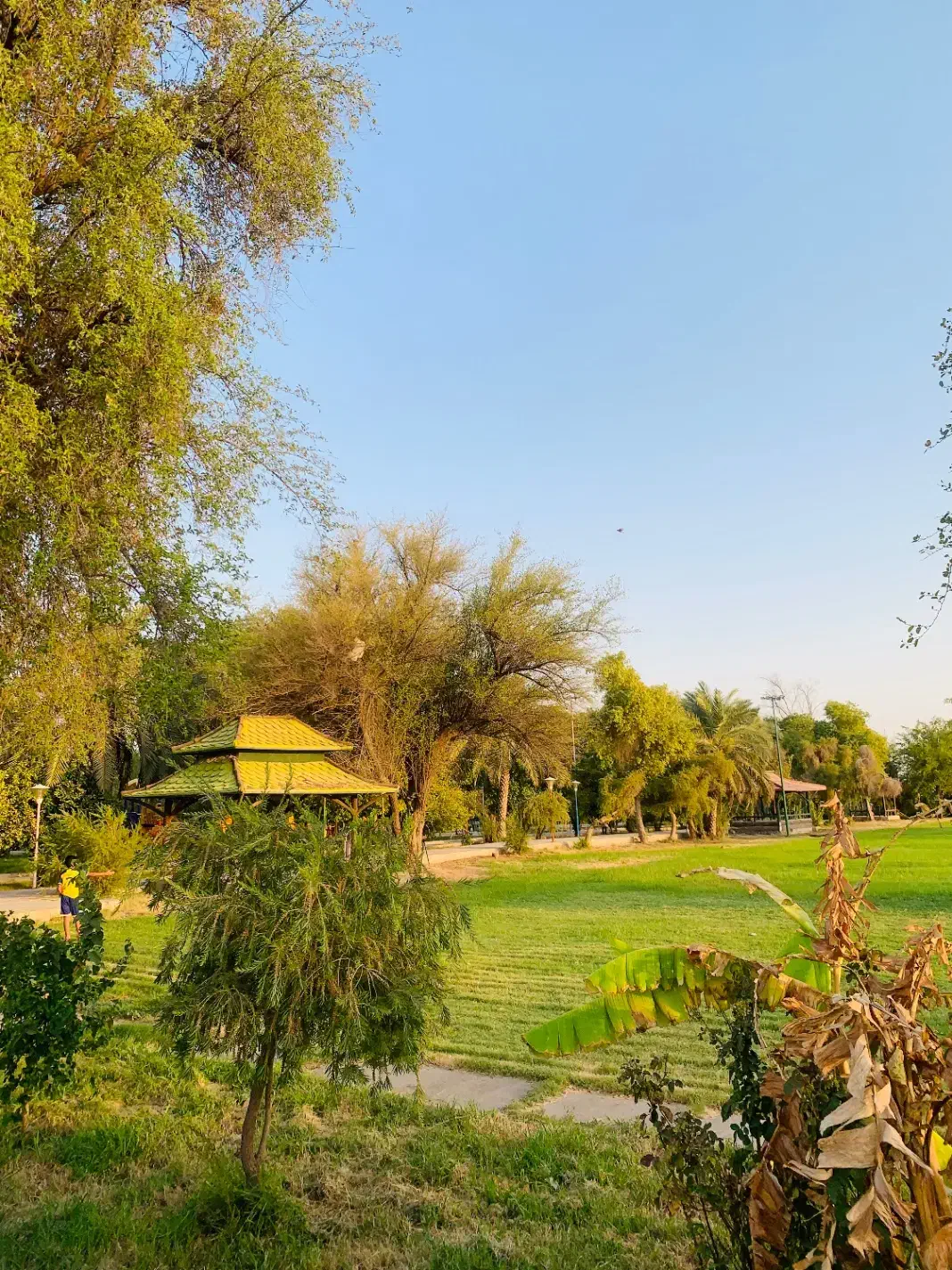 رهن دو هکتار زمین کشاورزی در حومه عبدالخان پایین|اجارهٔ دفتر صنعتی، کشاورزی، تجاری|کرخه, |دیوار