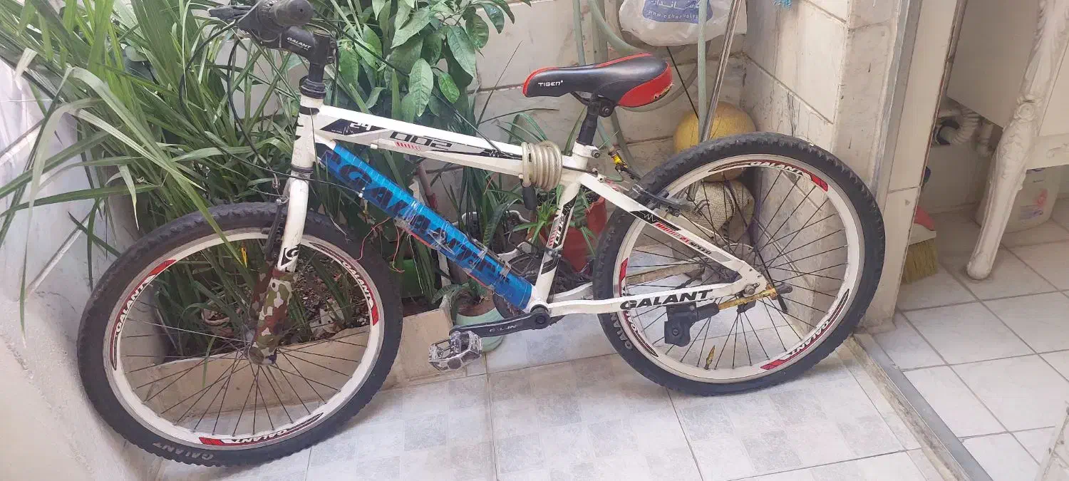 دوچرخه ۲۴ گالانت|دوچرخه، اسکیت، اسکوتر|ری, شهادت|دیوار