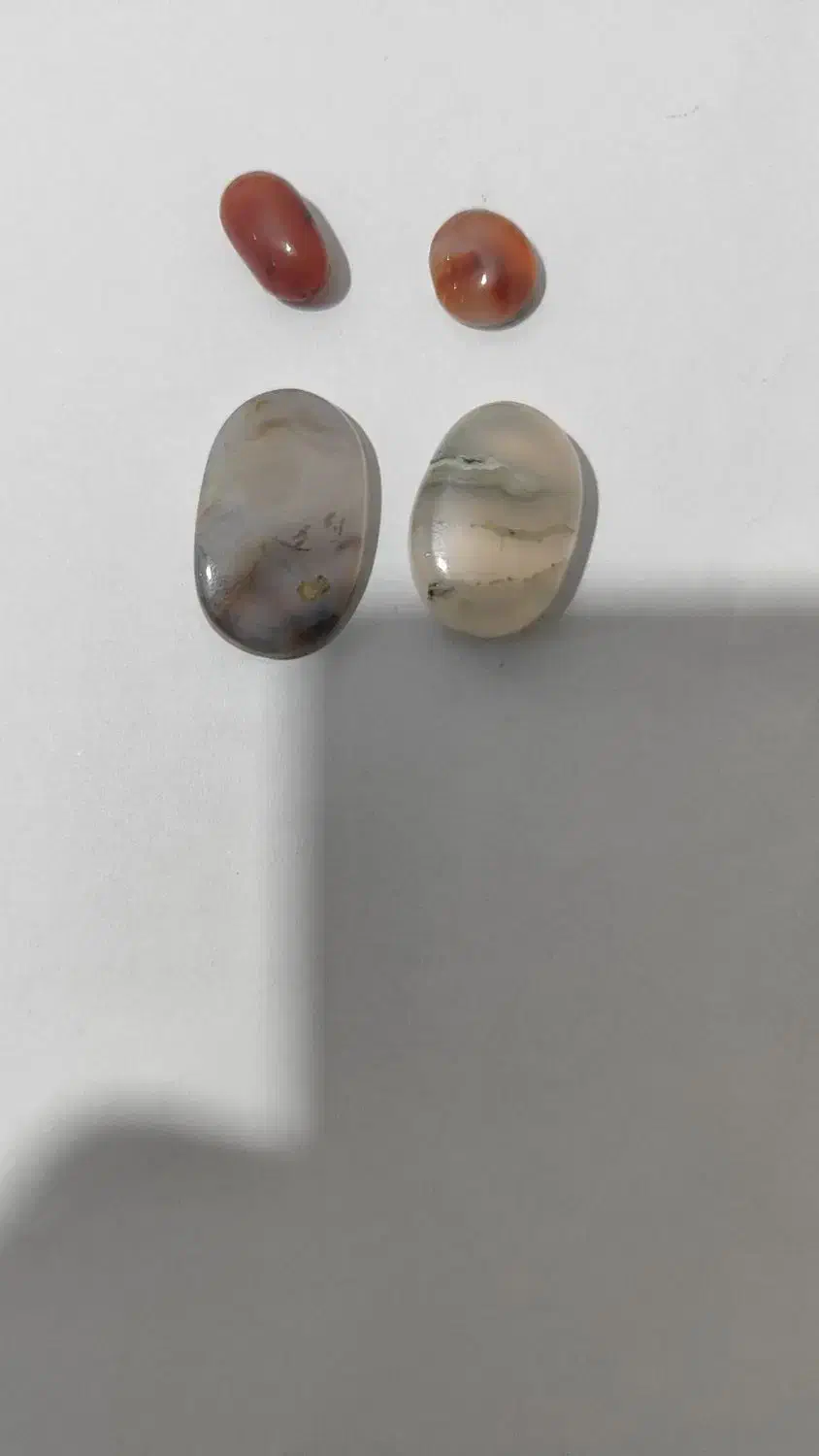 شجر|کلکسیون اشیاء عتیقه|نسیم‌شهر, |دیوار