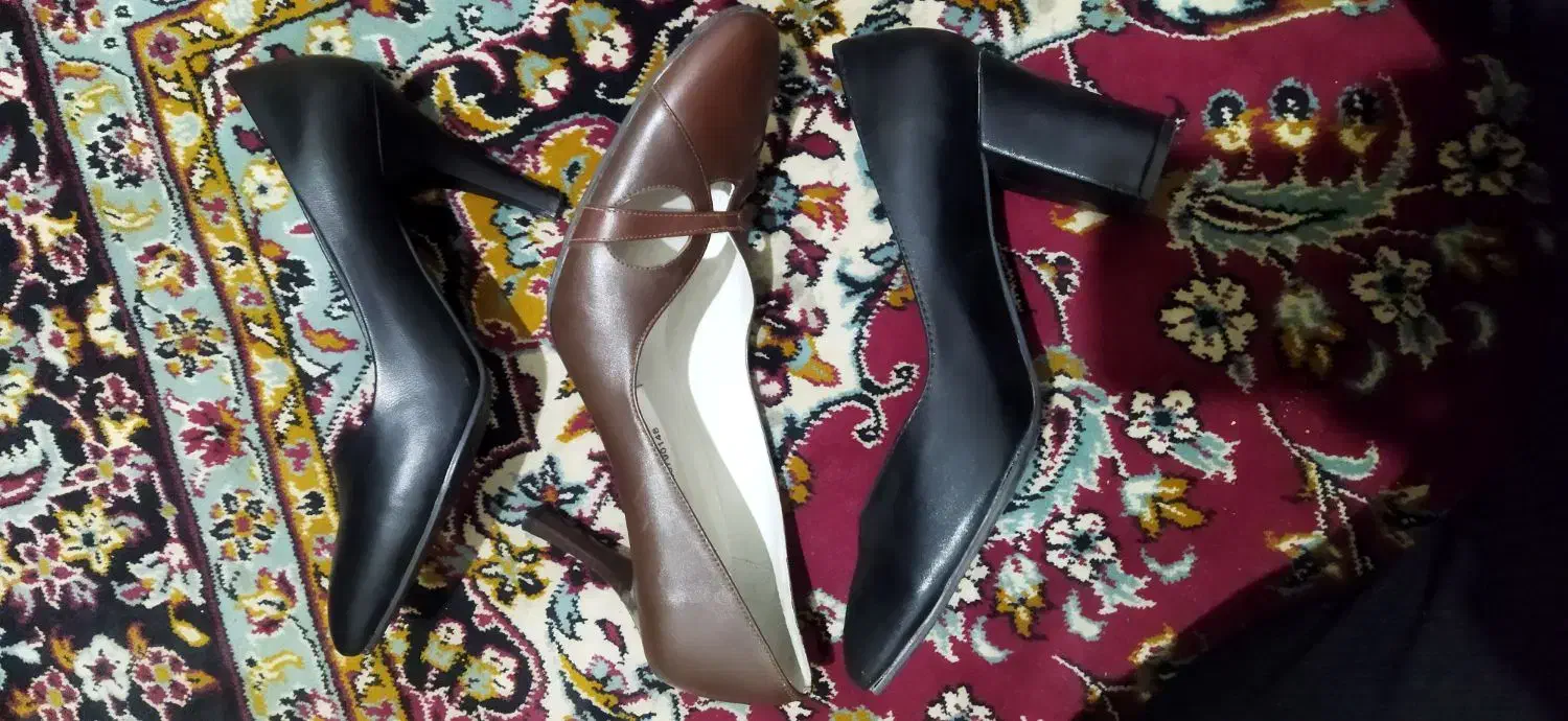 کفش|کیف، کفش، کمربند|قم, شهر قائم|دیوار