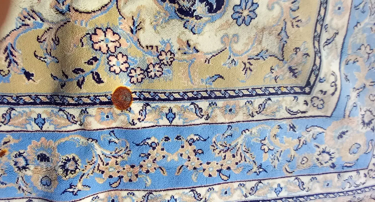 فروش یه تخته فرش ۱۲ متری|فرش|بهار, |دیوار