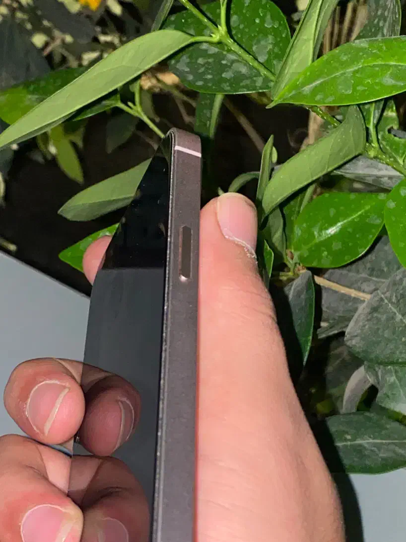 آیفون ۱۳ ۱۲۸g صورتی|موبایل|شاهینشهر, فردوسی|دیوار