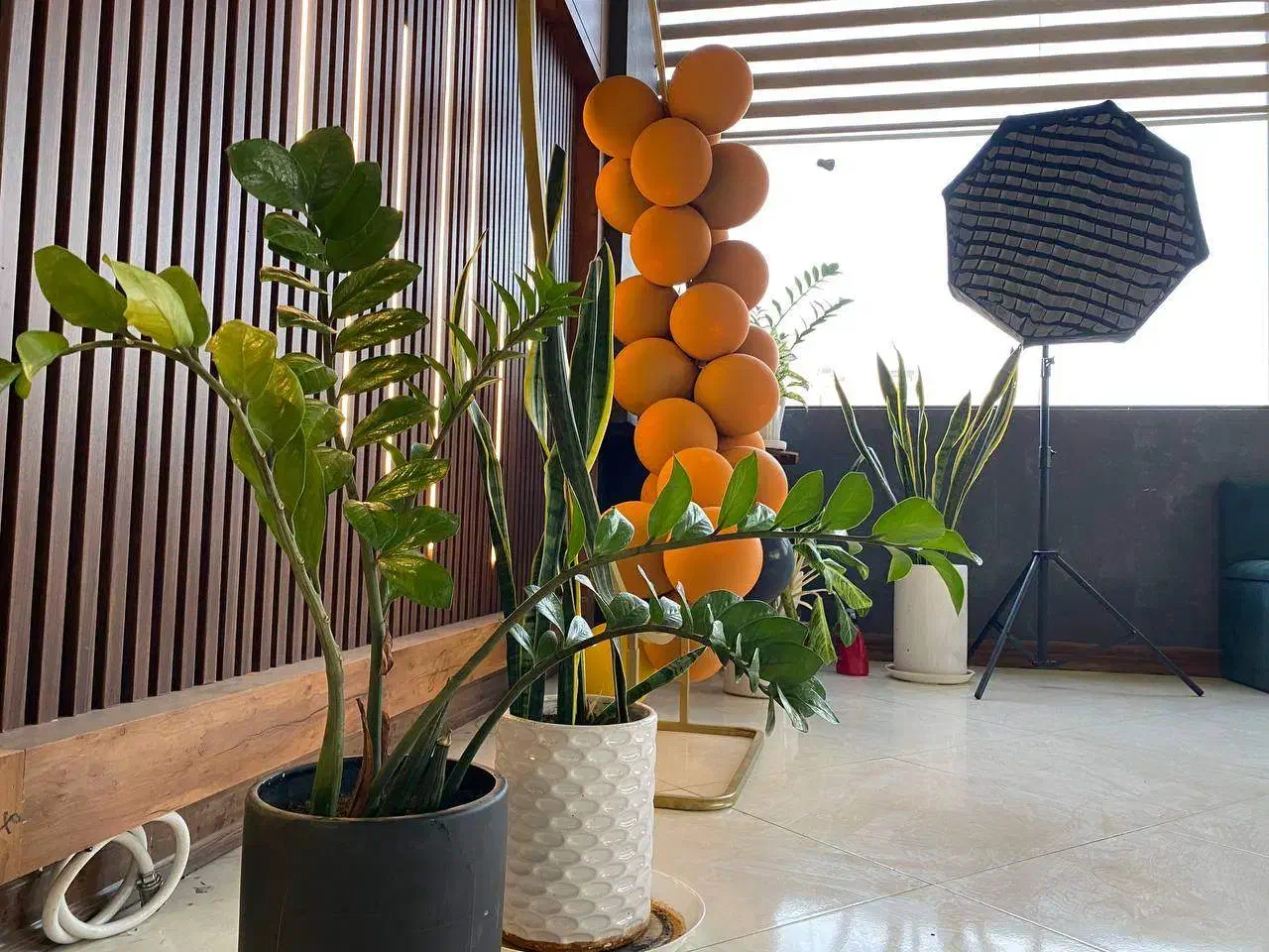 رزرو تولد کافه تولد دورهمی|خدمات پذیرایی، مراسم|مشهد, جاهد شهر|دیوار