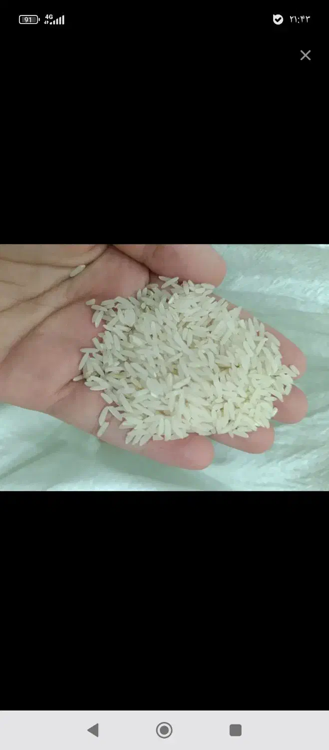 برنج درجه یک دمسیا مینودشت|خوردنی و آشامیدنی|نگین شهر, |دیوار