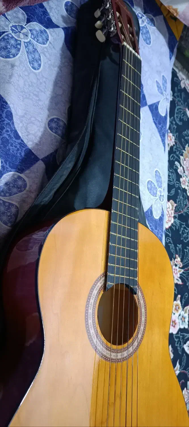 گیتار فروشی|گیتار، بیس، امپلیفایر|بندرعباس, |دیوار