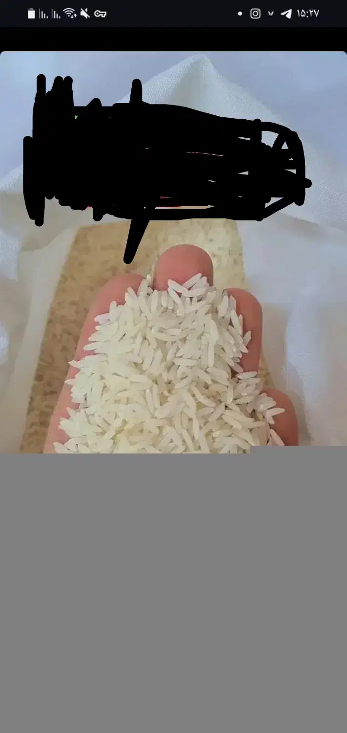 فروش برنج طارم هاشمی|خوردنی و آشامیدنی|بندر گز, |دیوار