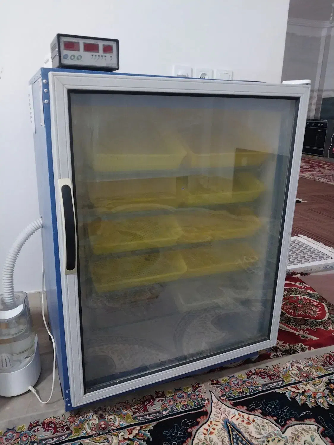 دستگاه جوجه کشی|لوازم جانبی حیوانات|آق قلا, |دیوار