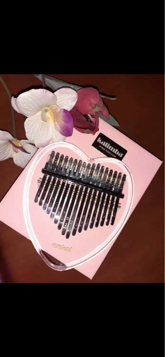 ساز|آلات موسیقی|تهران, قلهک|دیوار