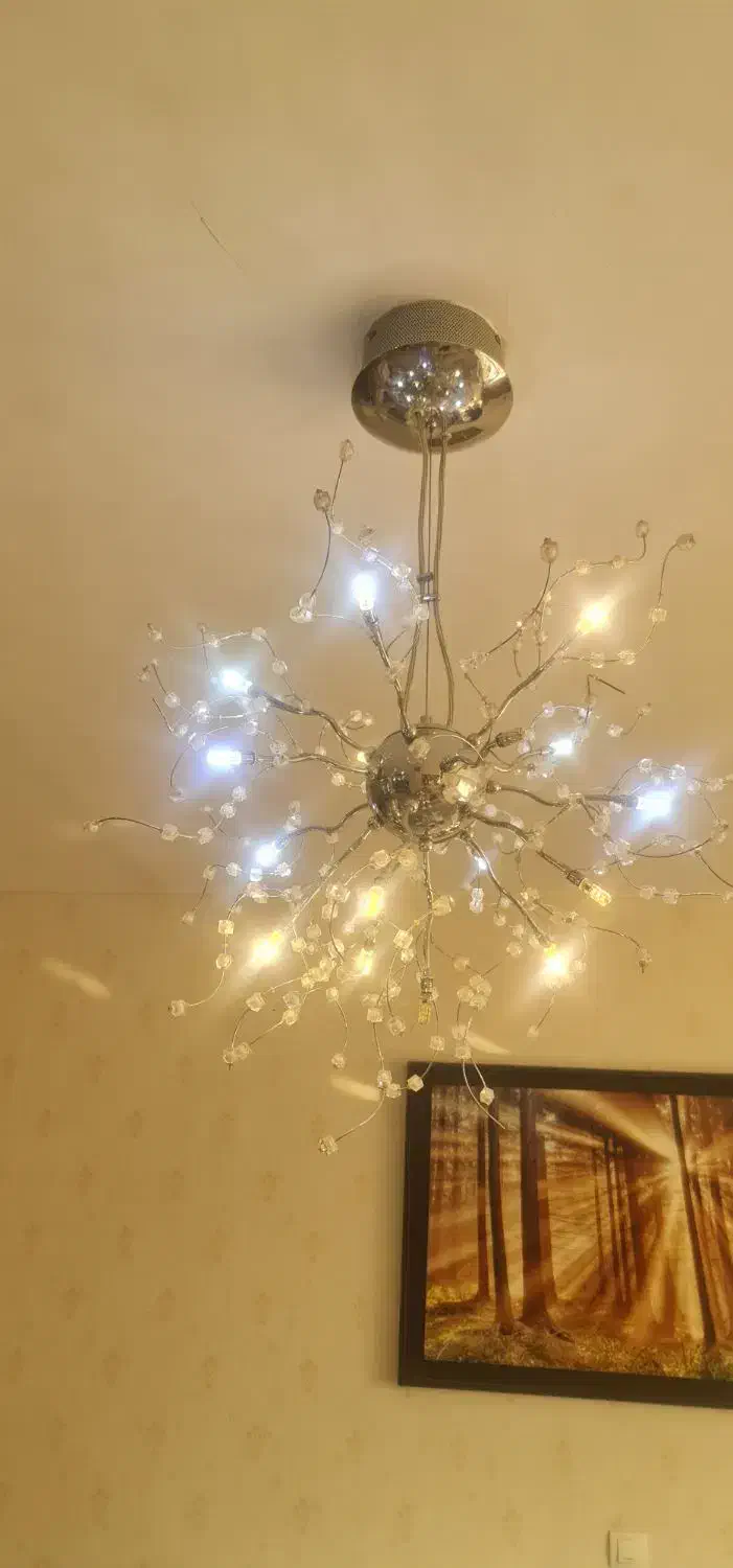 لوستر|لوستر و چراغ آویز|تهران, کاج|دیوار