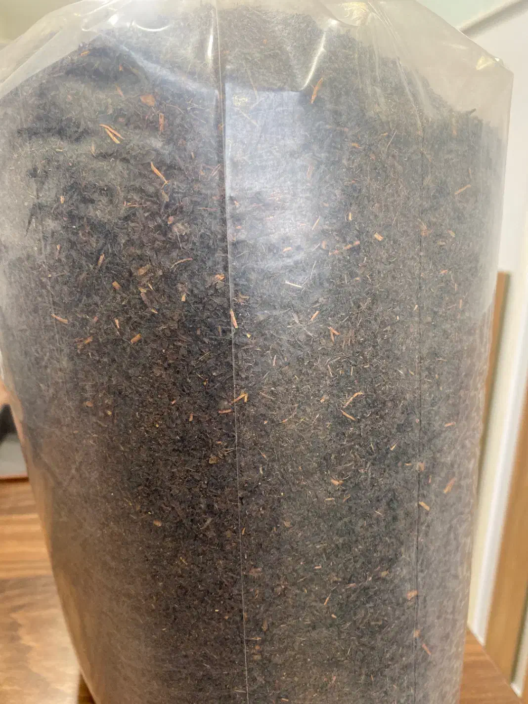 چای محلی لاهیجان|خوردنی و آشامیدنی|رشت, معلم|دیوار